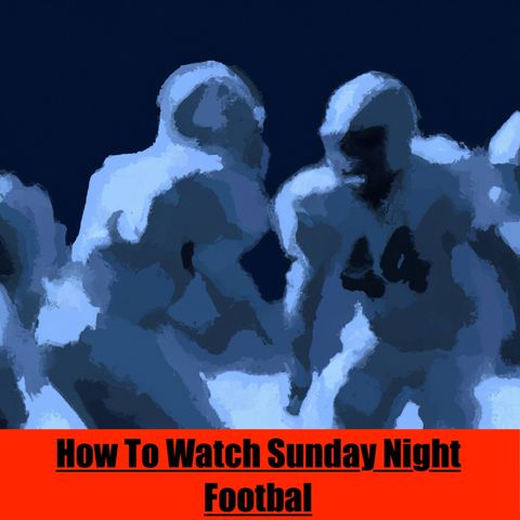 Sunday 11/19 Vikings VS. Broncos