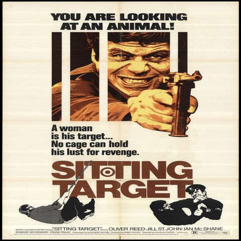 Episode 154 - Sitting Target (1972)