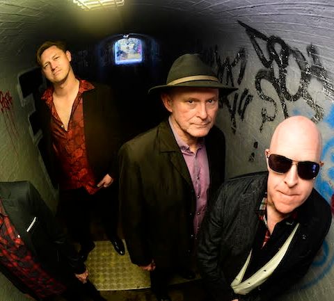 VERDANI - The Illusion Is Gone Interview