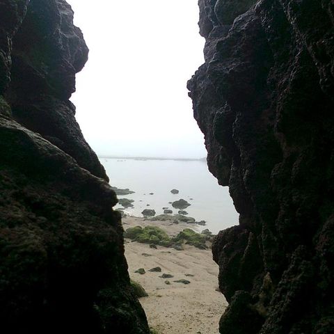 Druidas Project - Shore