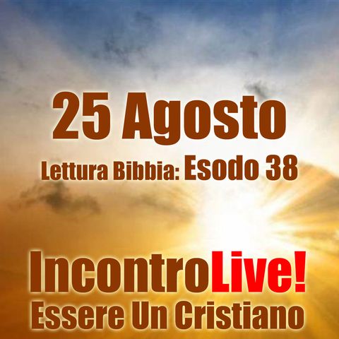 25 Agosto 2024 - Esodo 38