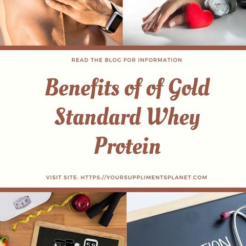 What are the benefits of Gold Standard Whey Protein?