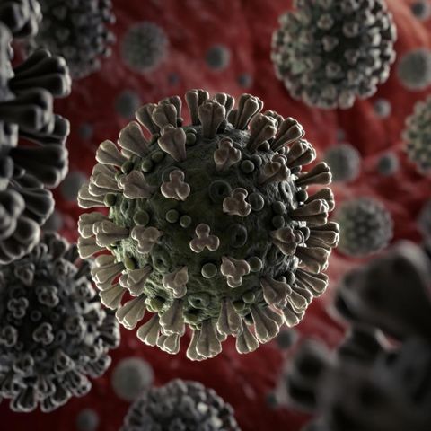 Suman 424 mil 637 los contagios por coronavirus en el país