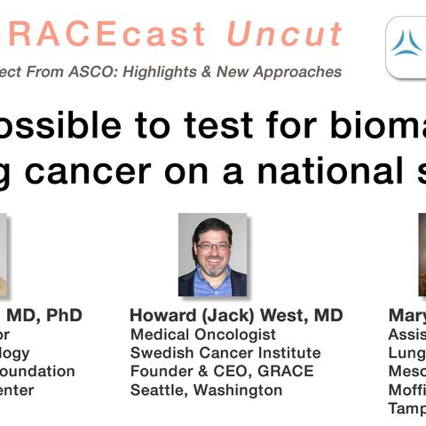 Is it possible to test for biomarkers in lung cancer on a national scale?