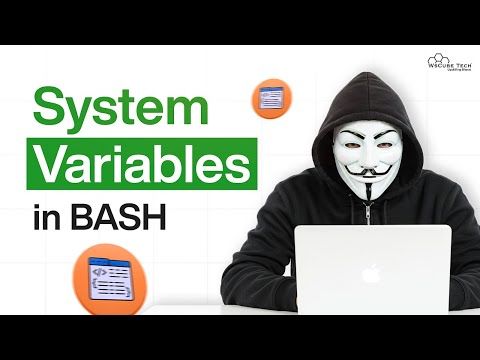 Practice Shell Scripting | System Defined Variables Made Easy