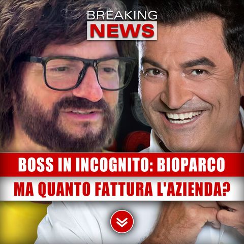 Boss In Incognito, Da Dirigente A Dipendente: Ma Quanto Fattura L'Azienda?