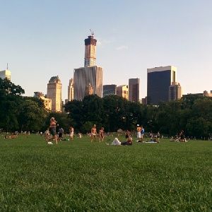 Día de picnic en Central Park