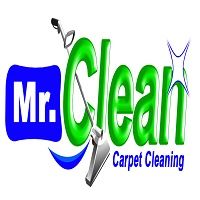 Professional Steam carpet Cleaning Technicians in Indian Trail NC