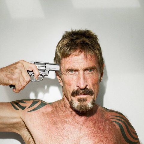 John McAfee : Hobbservations ep. 19