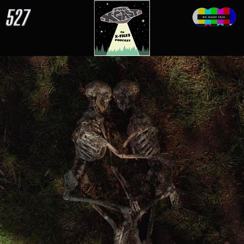 528. The X-Files 6x21: Field Trip