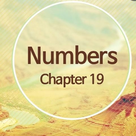 Numbers chapter 19