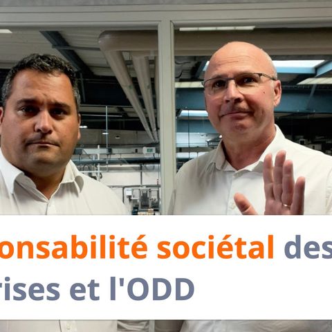 La responsabilité sociétale des entreprises et l'ODD