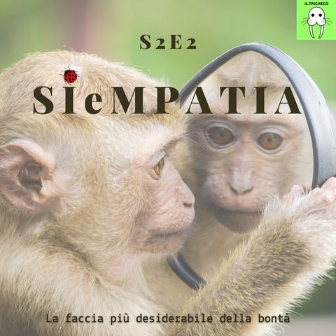 S2E2 - SIeMPATIA