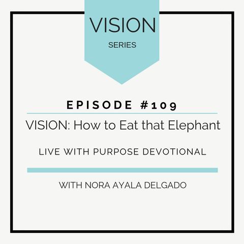 #109 VISION: How to Eat that Elephant