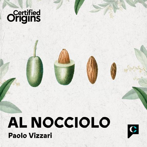 Ep.3 - Dietro le quinte: il viaggio dell'olio dal frantoio alla bottiglia