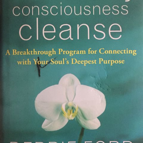 Consciousness cleanse - 1
