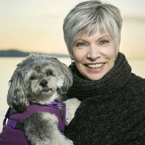 Animal Soul Wisdom Radio: Tapping into the Wisdom of Our Animals, Angels and Masters with Darcy Pariso : Animals: What Are They Really Up To