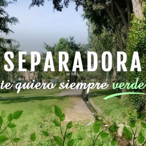 Separadora te quiero siempre verde