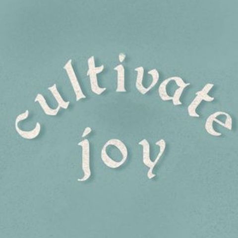 #619 - Cultivate Joy; Day 4