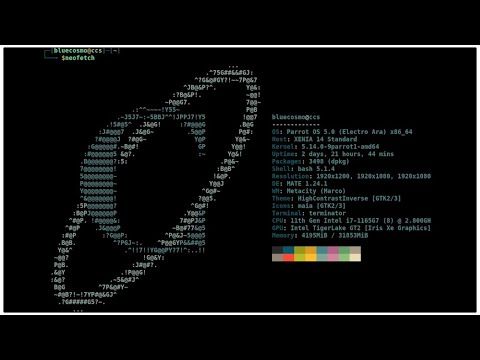 Customizing Neofetch | Workflow Revamp