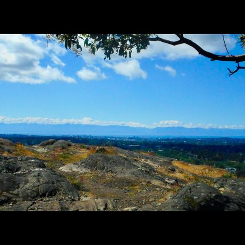 Little Mount Doug.