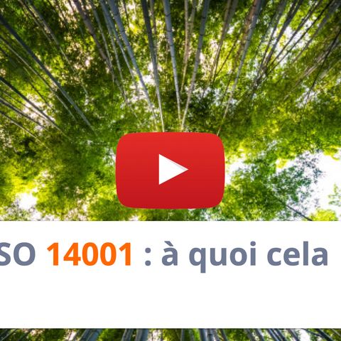 #178 - ISO 14001 : à quoi cela sert