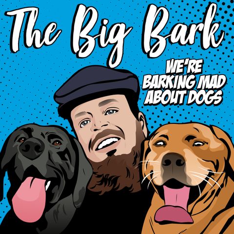 The Big Bark #13 - Nose of Tralee 2020 - Chatting with Alfie - the Nose of Limerick