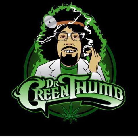 Dr green Tum