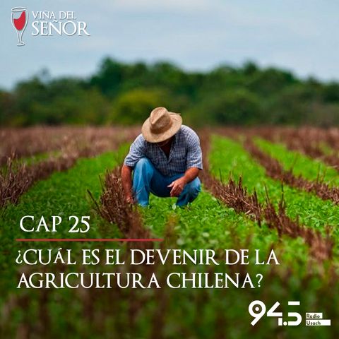 ¿Cuál es el devenir de la agricultura chilena?