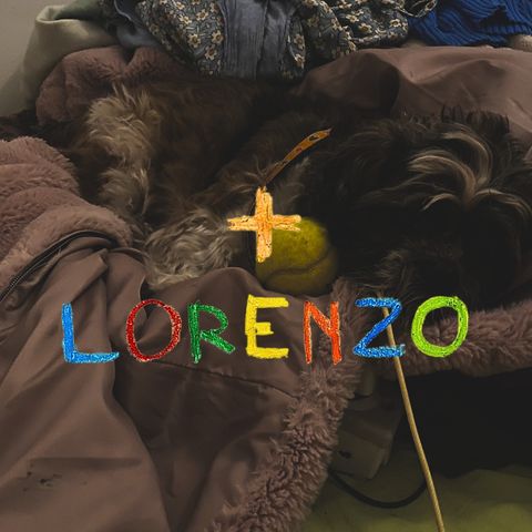 Lorenzo