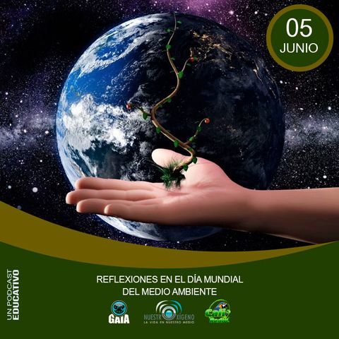 NUESTRO OXÍGENO Reflexiones en el día mundial del medio ambiente