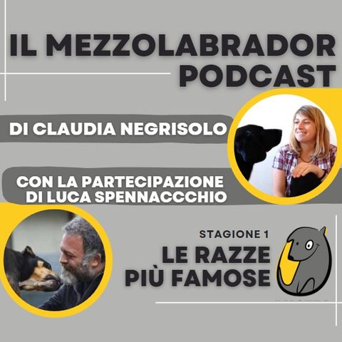 Copertina del podcast