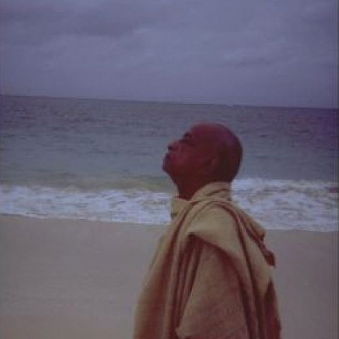 Cumplir el deber. Hare Krishna.