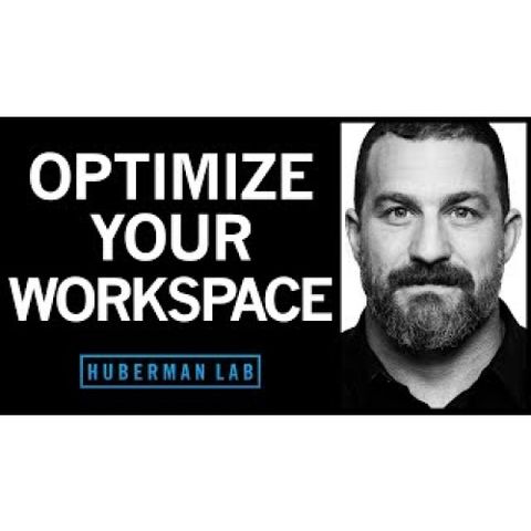 Optimizing Workspace for Productivity, Focus, & Creativity