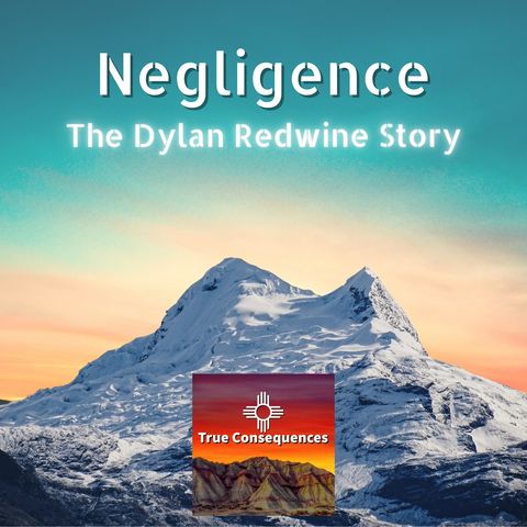 The Searching - Negligence: The Dylan Redwine Story