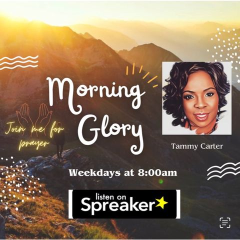 Morning Glory