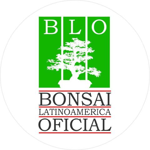 Episodio 17 - Radio Bonsai Historia Del Bonsai