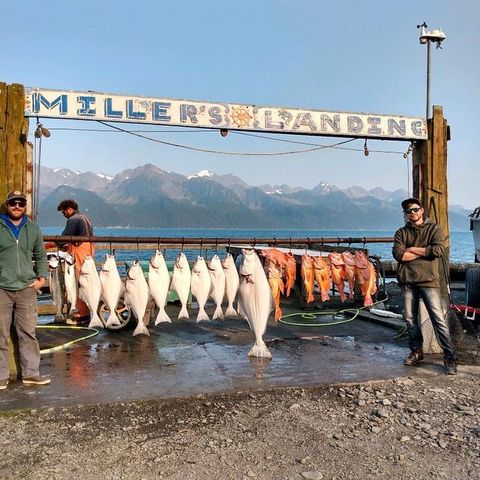 Justin Carpentar - Fishing Report From Alaska