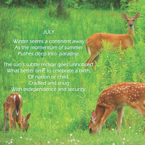 July by Doug Houseworth