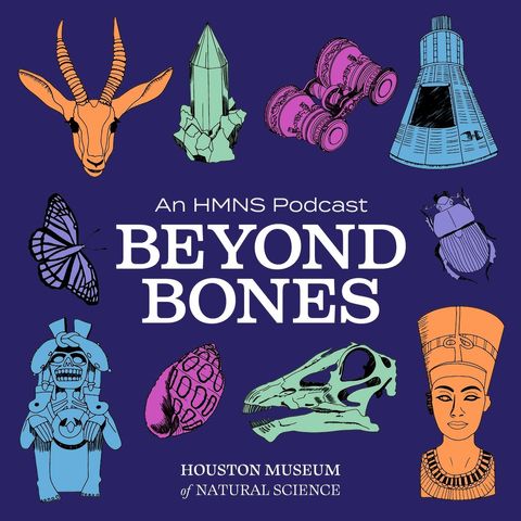 Tips, Tricks, and HMNS Behind the Scenes!