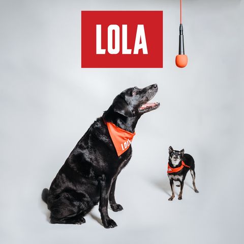 Introducing: The LOLA Show Season One