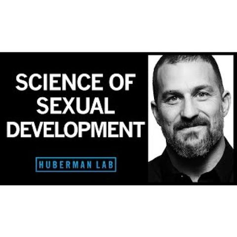 How Hormones Shape Sexual Development