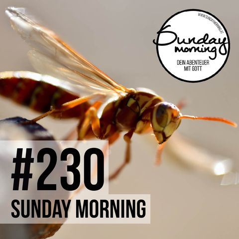 TOD WO IST DEIN STACHEL | Sunday Morning #230