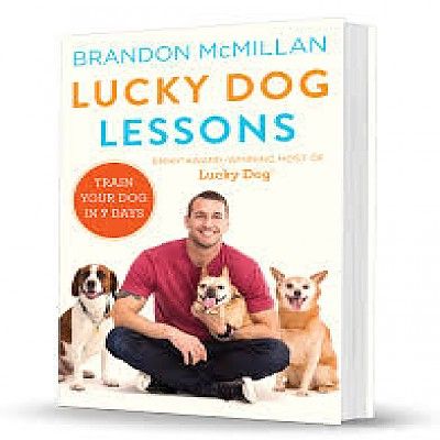 Brandon McMillan Lucky Dog