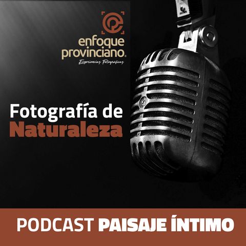 CAPÍTULO 2 - Entrevista a Felipe Gómez
