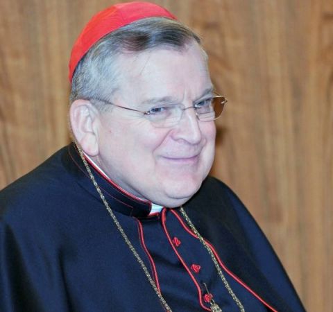 Destituire i vescovi tedeschi: la richiesta del cardinal Burke