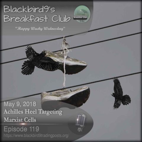Achilles Heel Targeting Marxist Cells - Blackbird9 Podcast