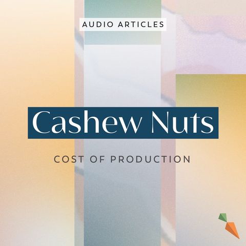 Cashew Nuts: The Hidden Cost Of Cashew Processing | FoodUnfolded AudioArticle