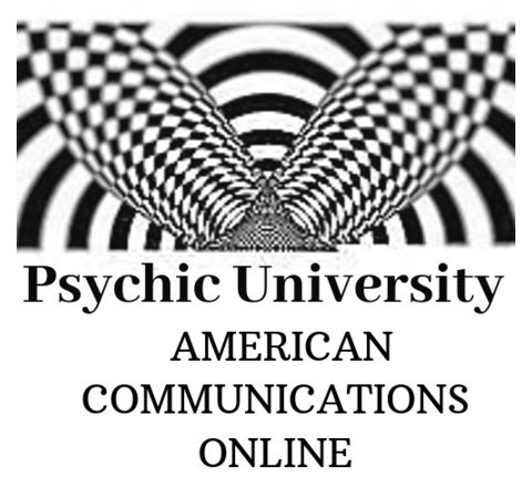 Psychic Channel Network Mini readings Tarot  by TJ, RT Knight, Marci Kosich