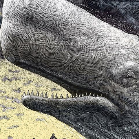 LA BIANCHEZZA DELLA BALENA
